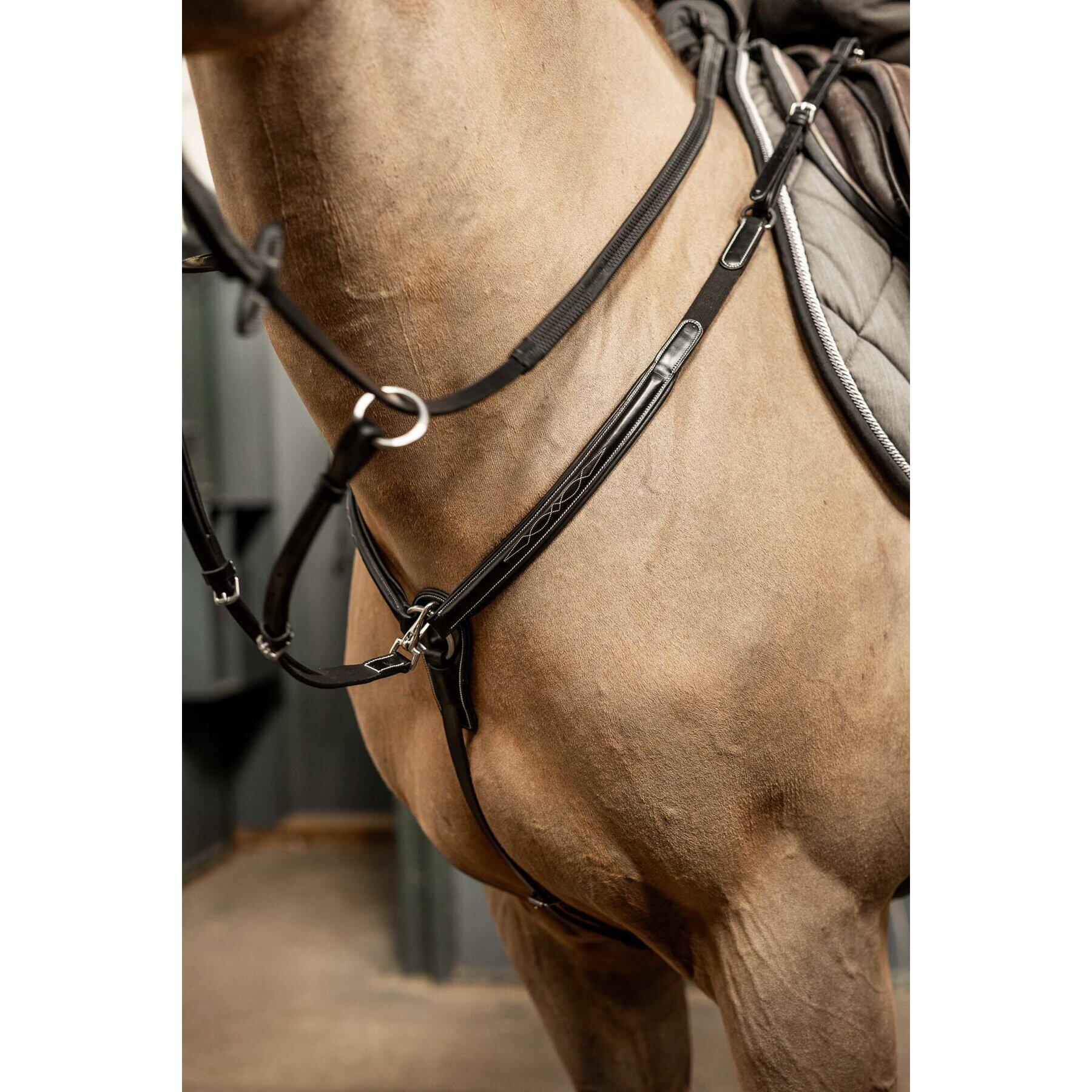 Jagdhalsband für Pferde HFI Pro Line Arezzo 2/5