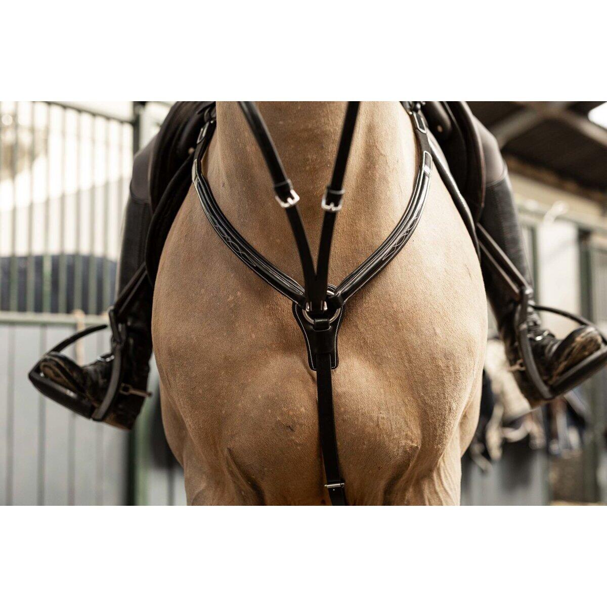 Jagdhalsband für Pferde HFI Pro Line Arezzo 5/5