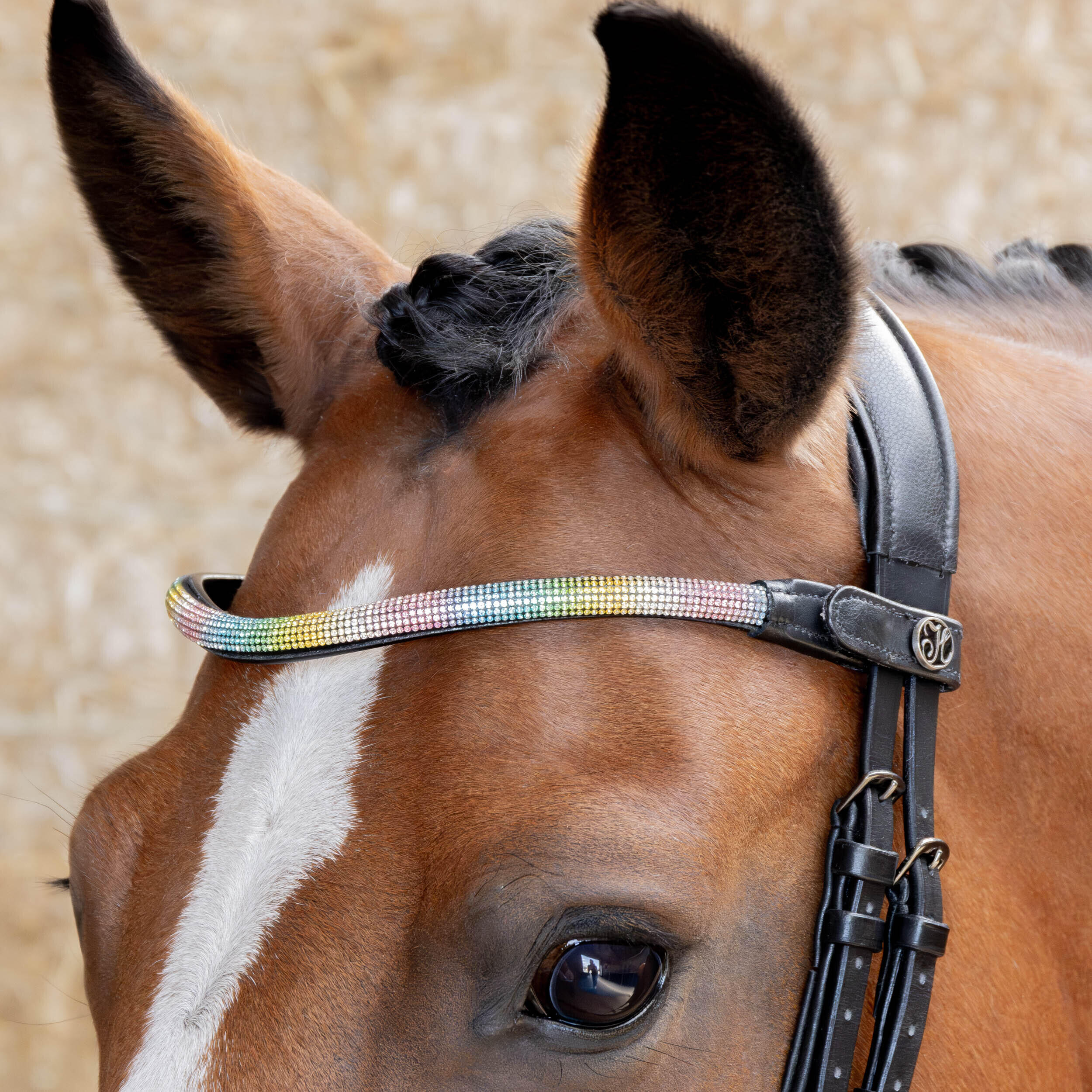 Stirnband für Pferd Harry's Horse Rainbow 2/2