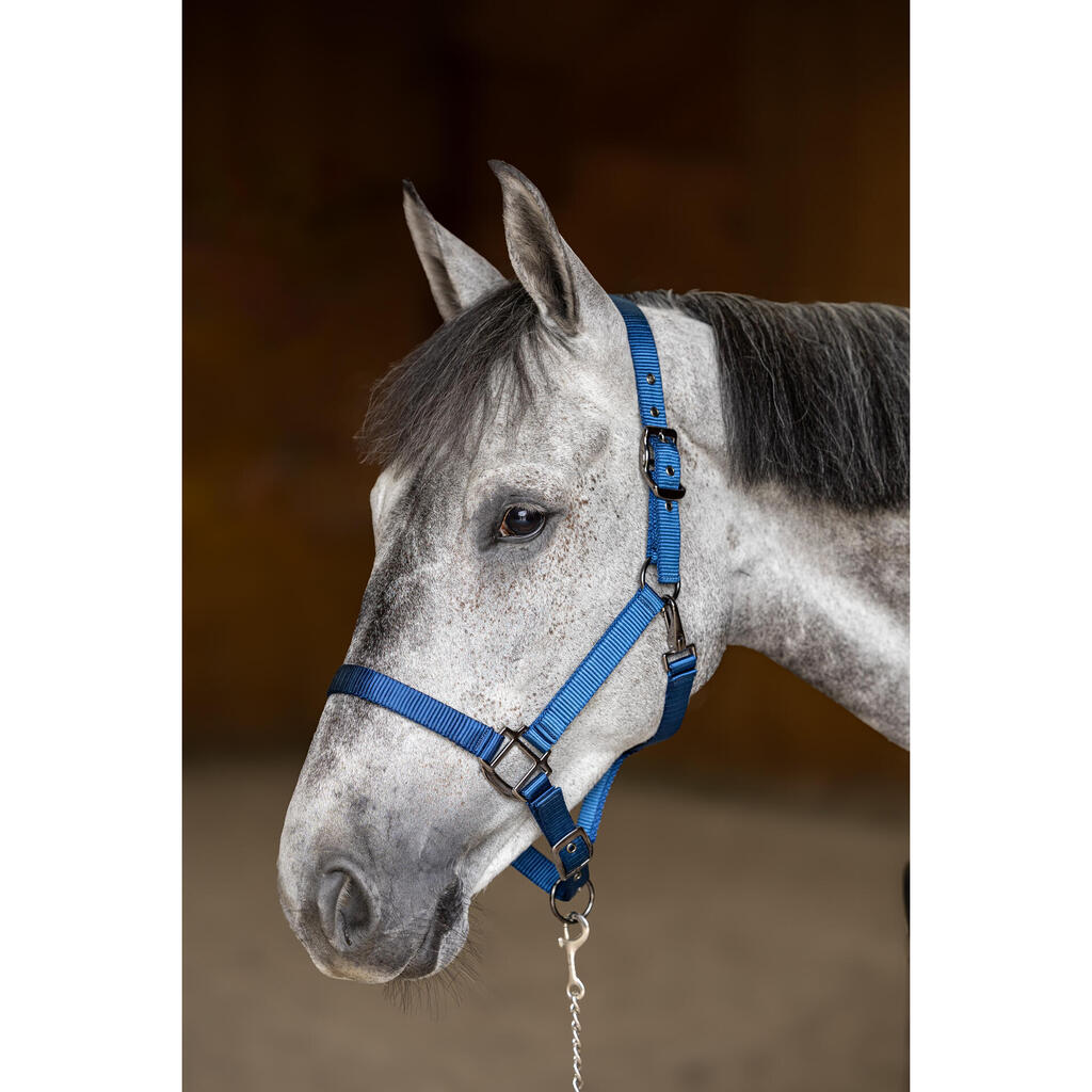 Nylon horse halter HFI