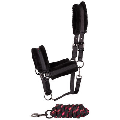 Set aus Halfter und Longiergurt für Pferde Harry's Horse Soft Billie