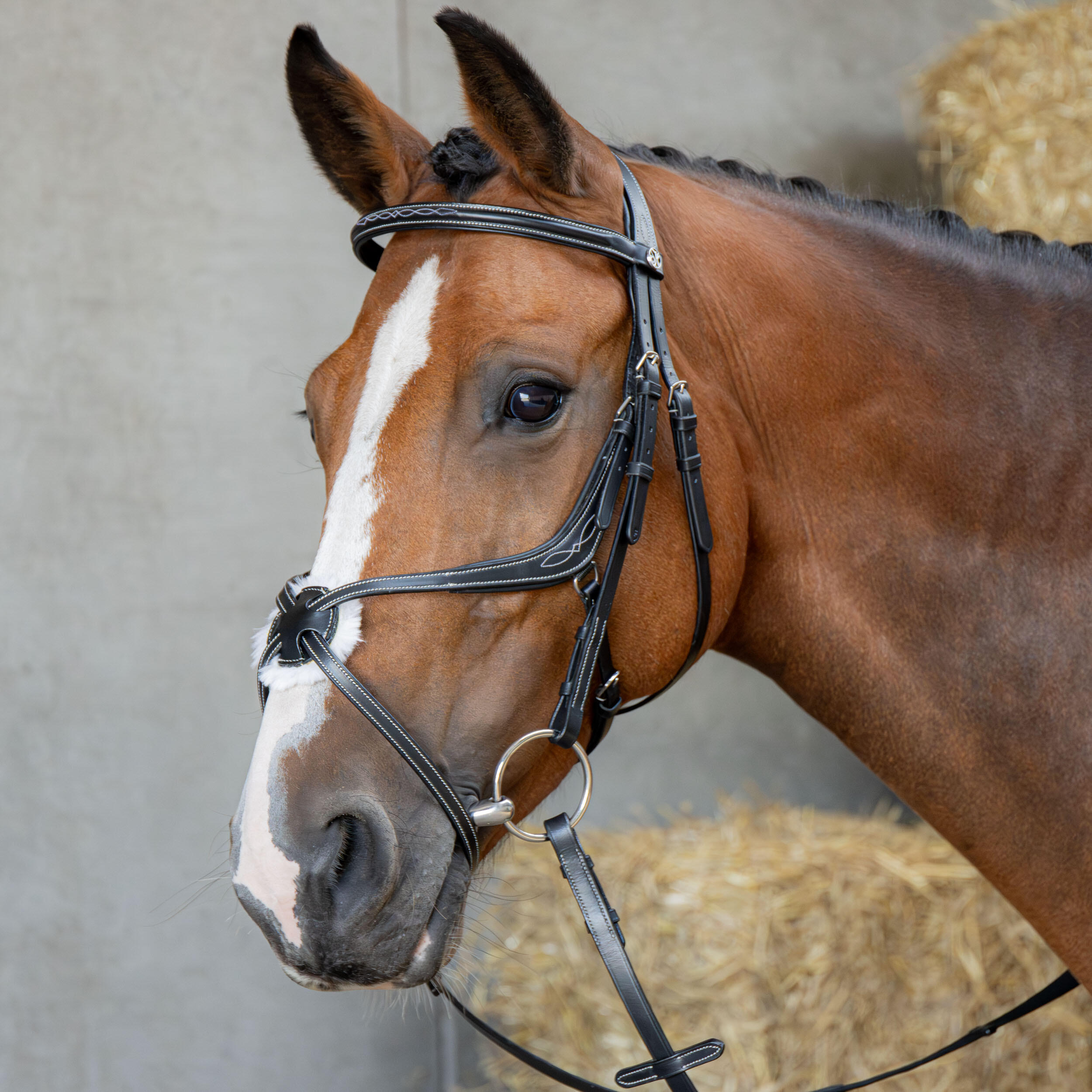 Harrys Horse - Bridon Équitation Muserolle Croisée Mexicaine Anatomique Harry's Horse - Bridon - Noir - Fs - Decathlon