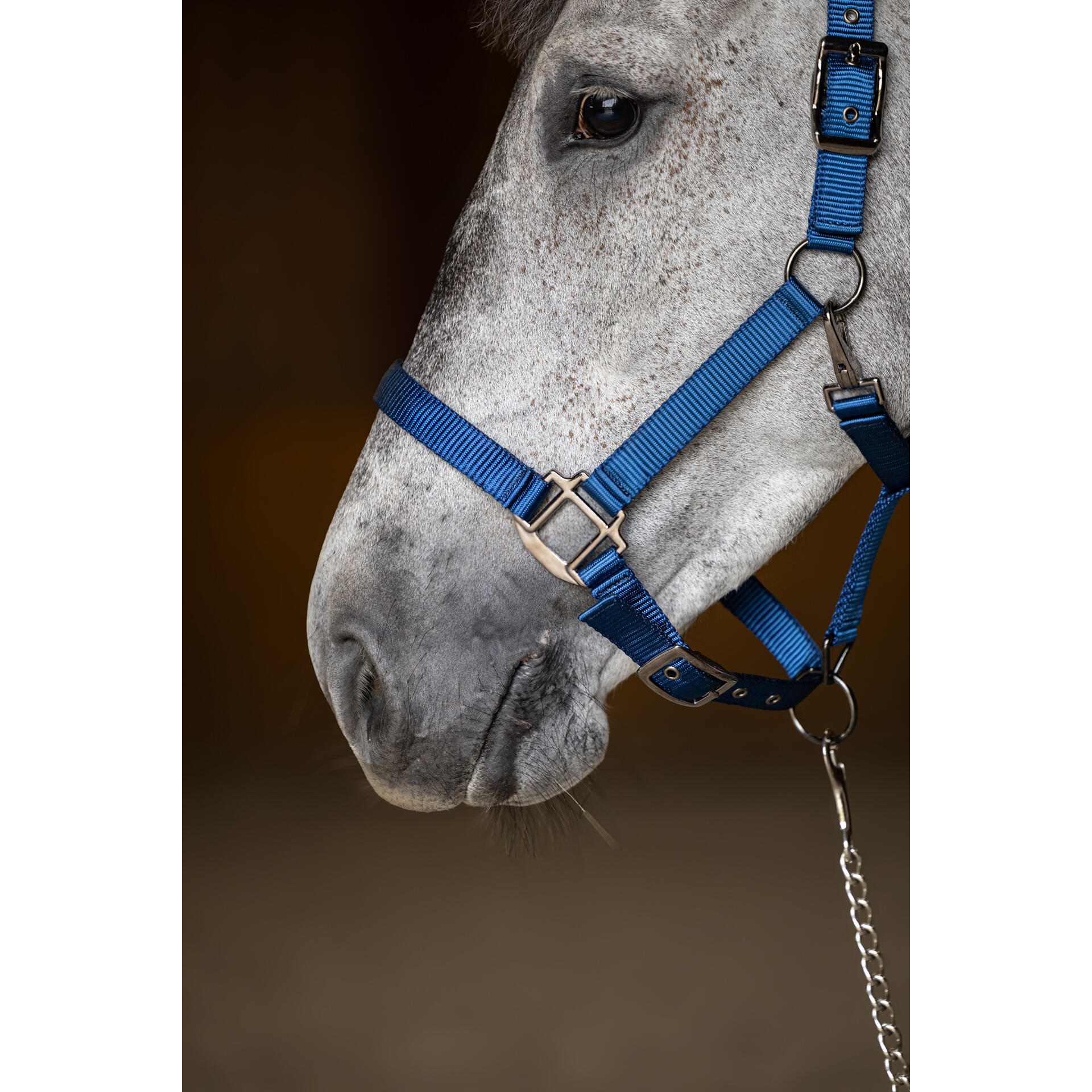 Licol pour cheval en nylon HFI 4/5