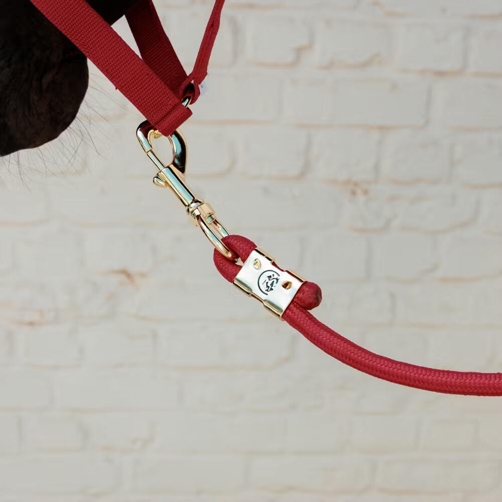 Longe en nylon tressé équitation Kentucky Horsewear 3/4