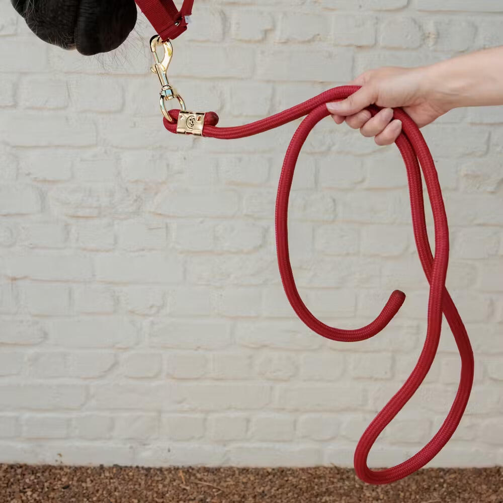 Longe en nylon tressé équitation Kentucky Horsewear 2/4