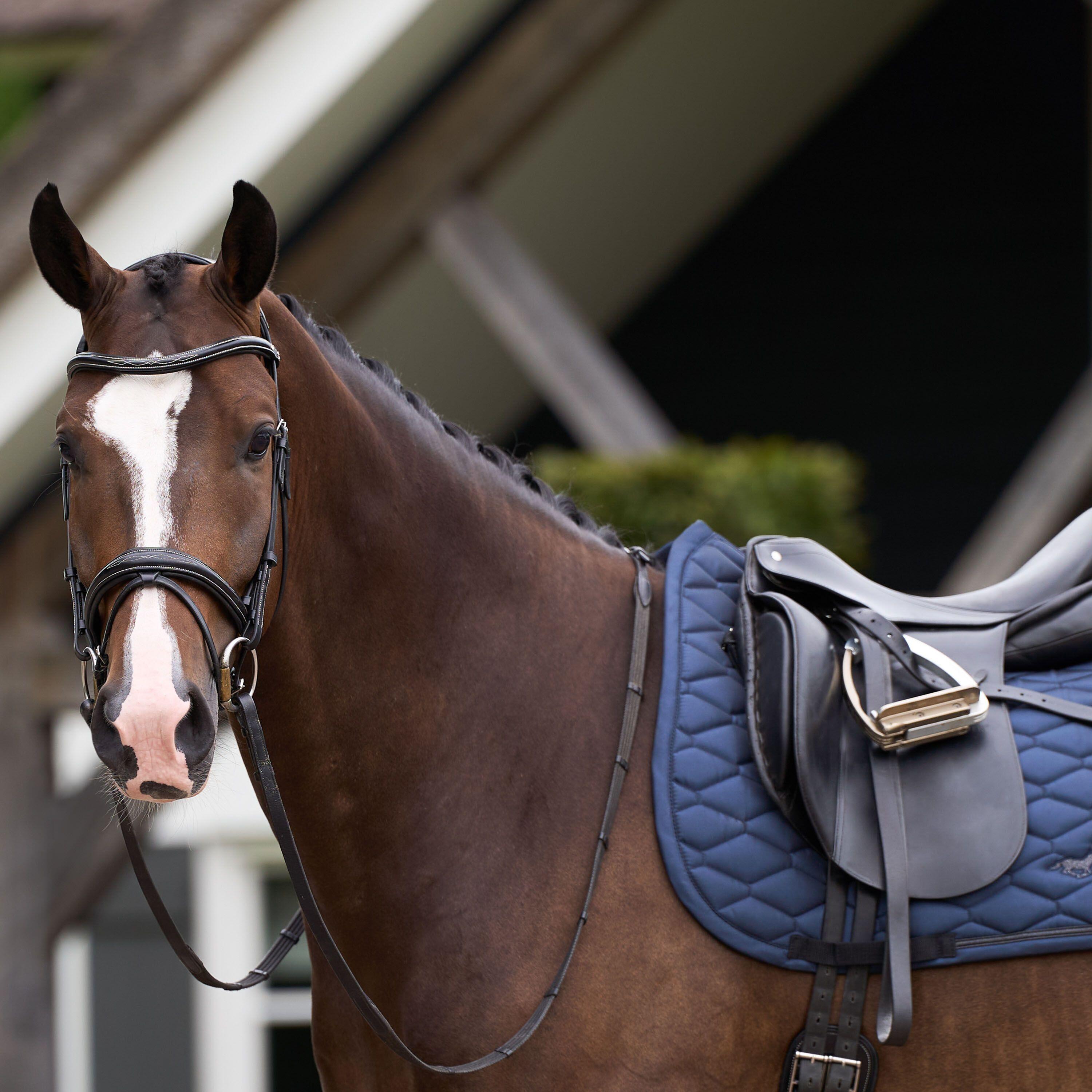 Sottosella dressage HV Polo Joan GP 3/3