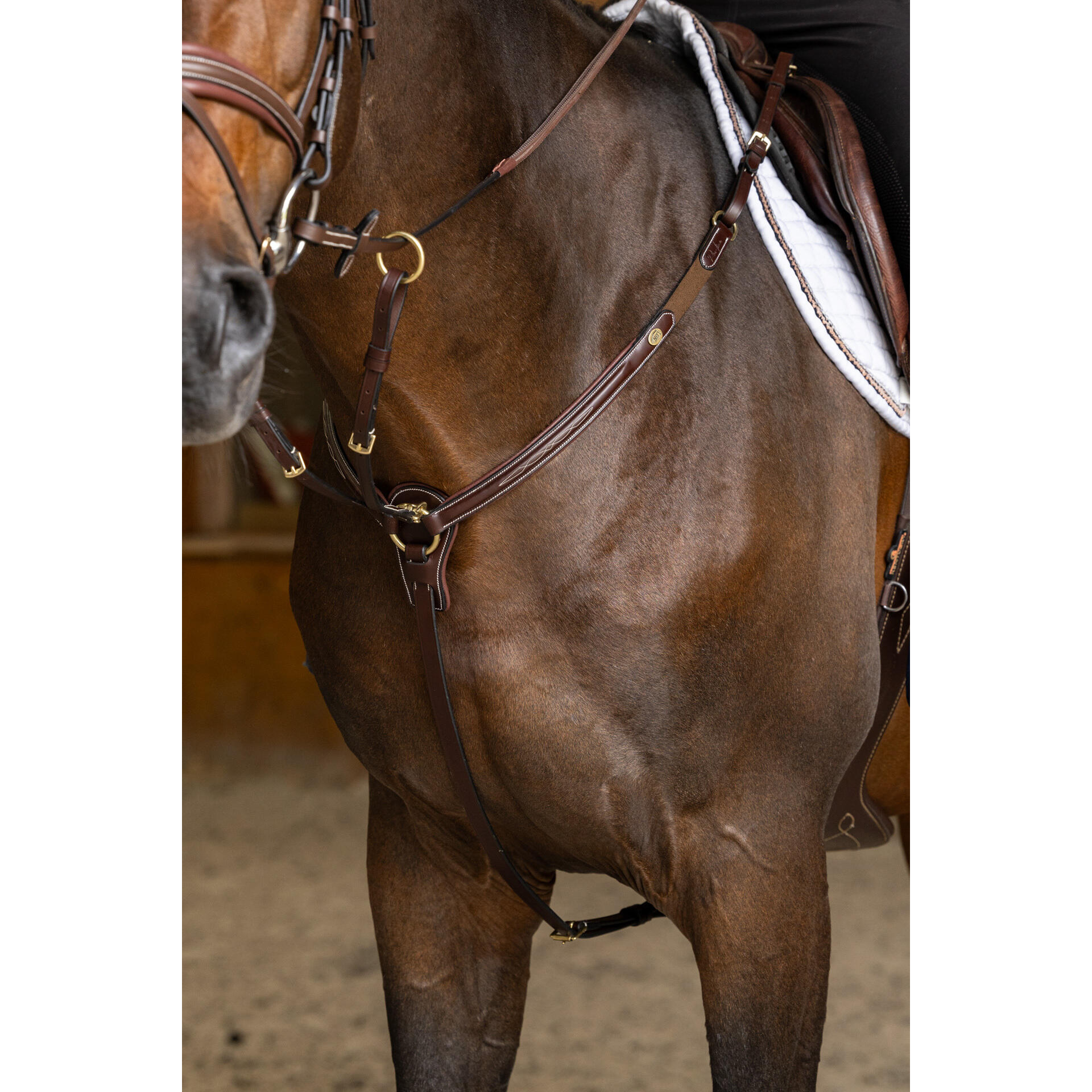 Collar de caza para caballos HFI Pro Line Arezzo 2/5
