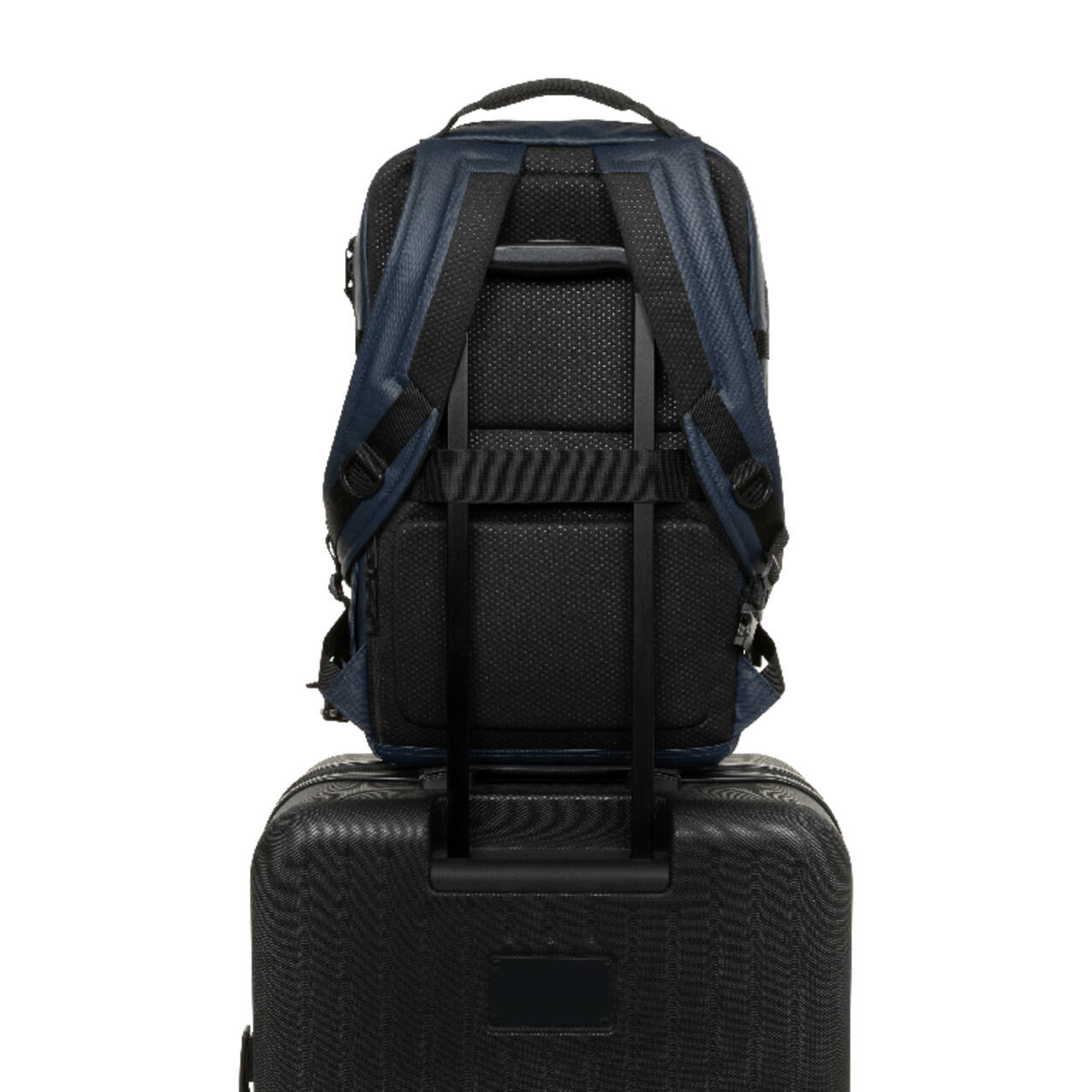 Rugzak Eastpak Tecum L 7/7