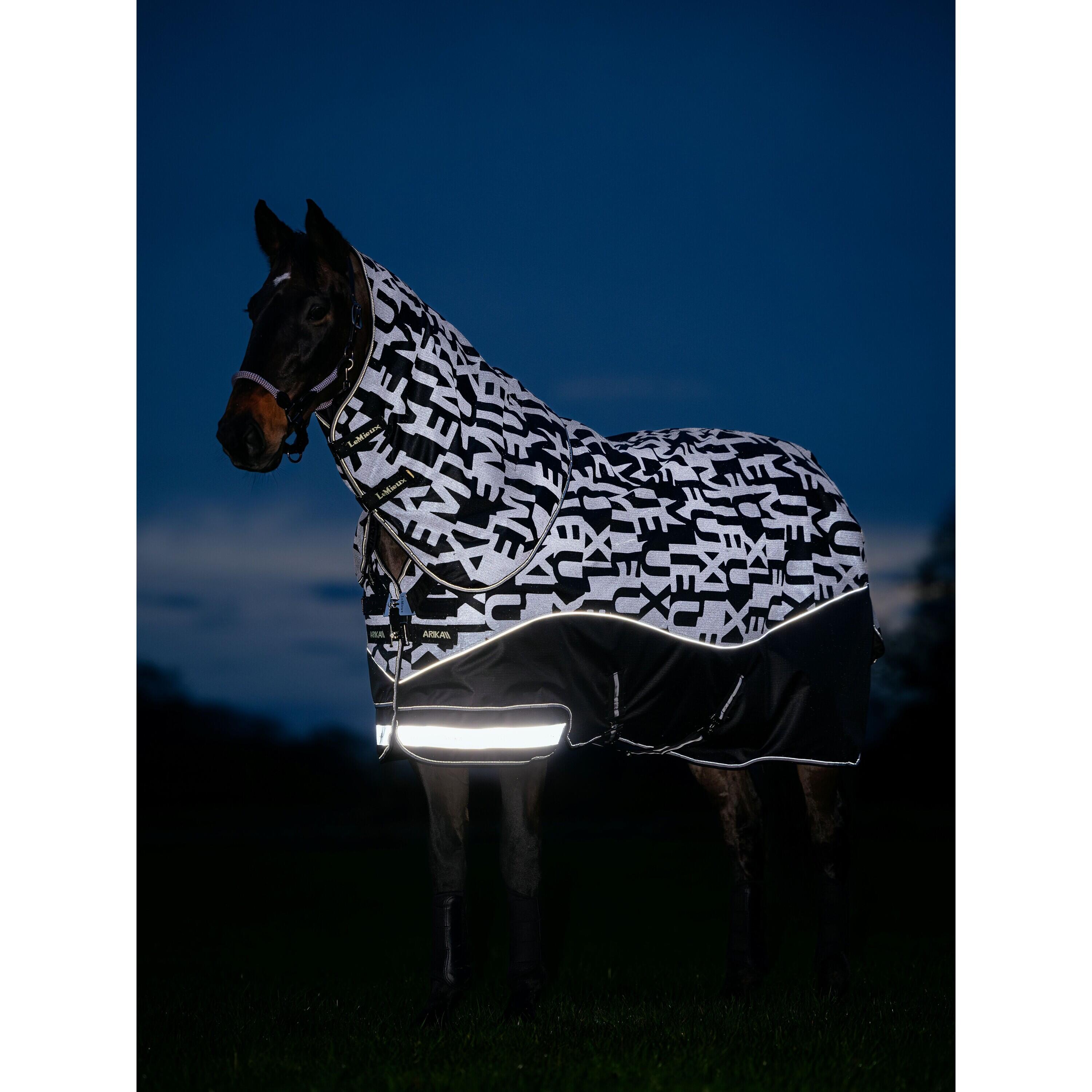 Outdoor paardendeken LeMieux Arika 100g 3/4
