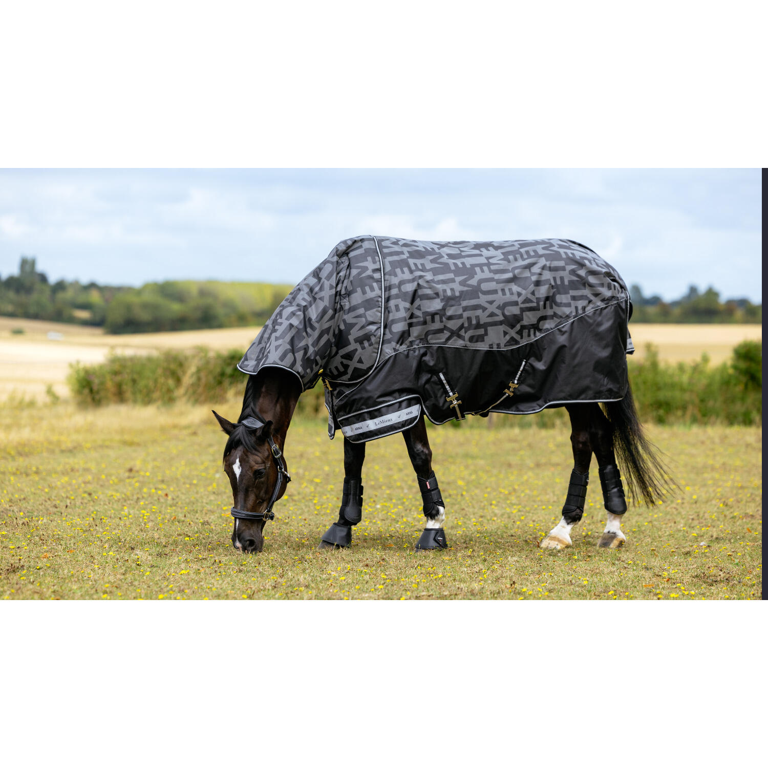 Outdoor paardendeken LeMieux Arika 100g 4/4