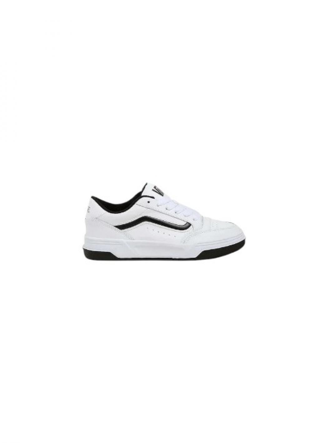 VANS picture