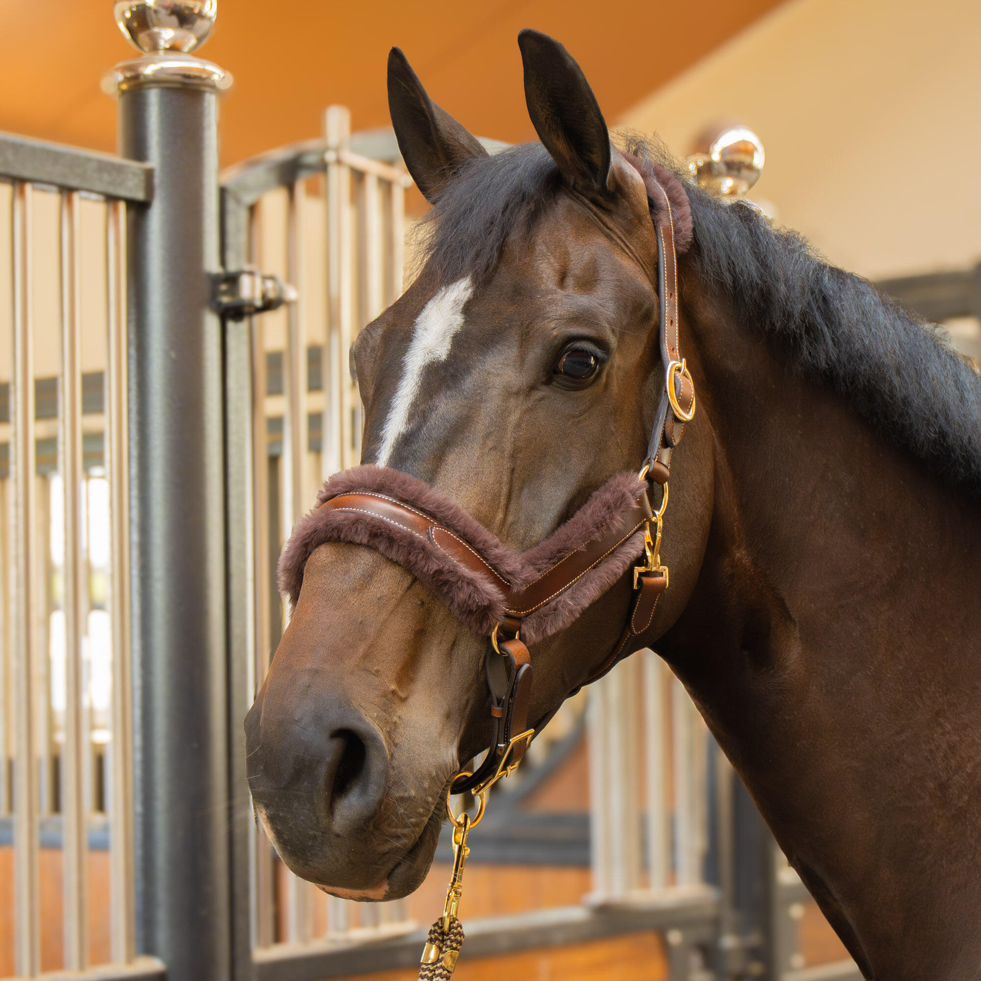 Licol pour cheval en cuir anatomique Harry's Horse Furry Matt 3/3