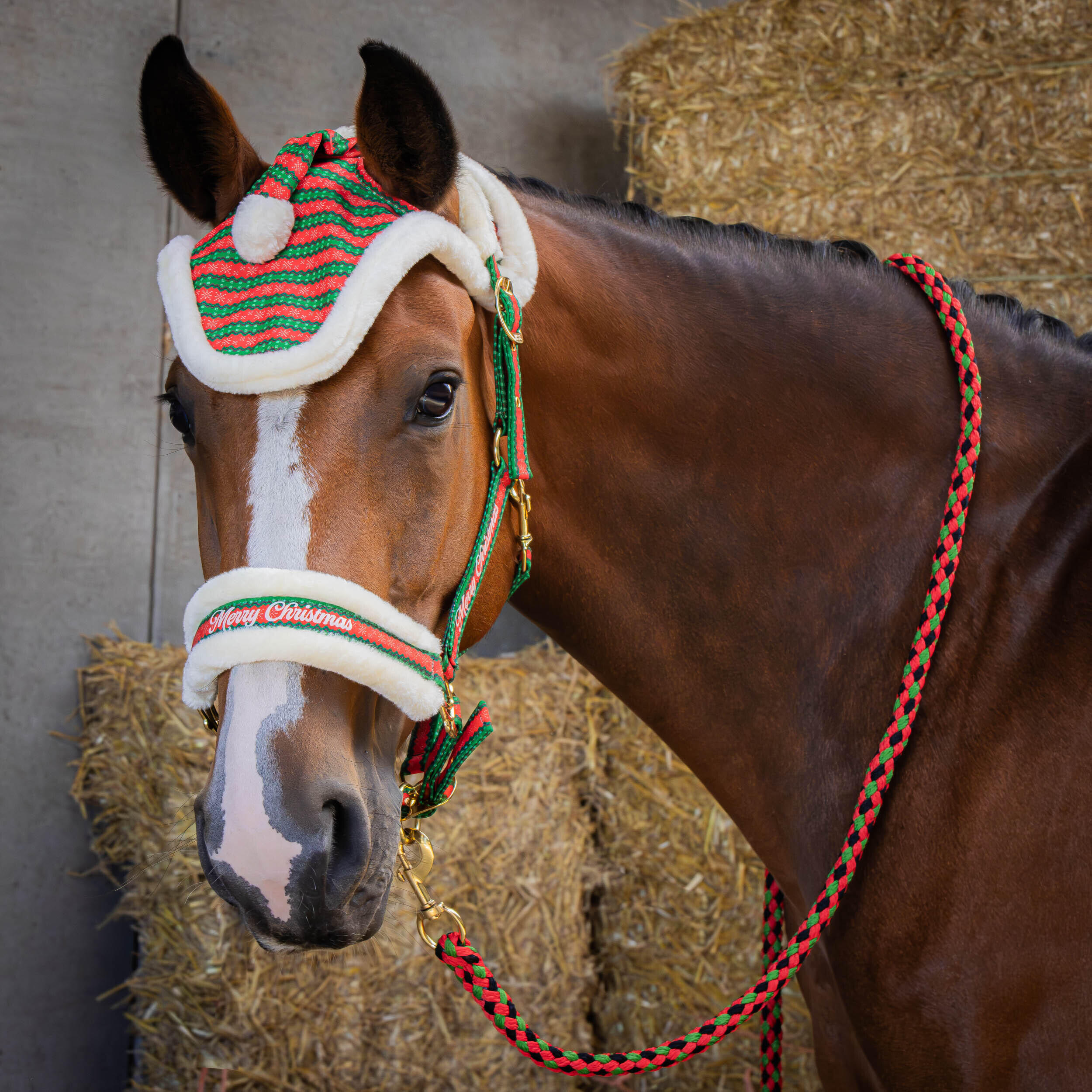 Harrys Horse - Ensemble Licol, Longe Et Bonnet Pour Cheval Harry's Horse Christmas - Pack Licol Et Longe - Rose|rouge - Fs - Decathlon