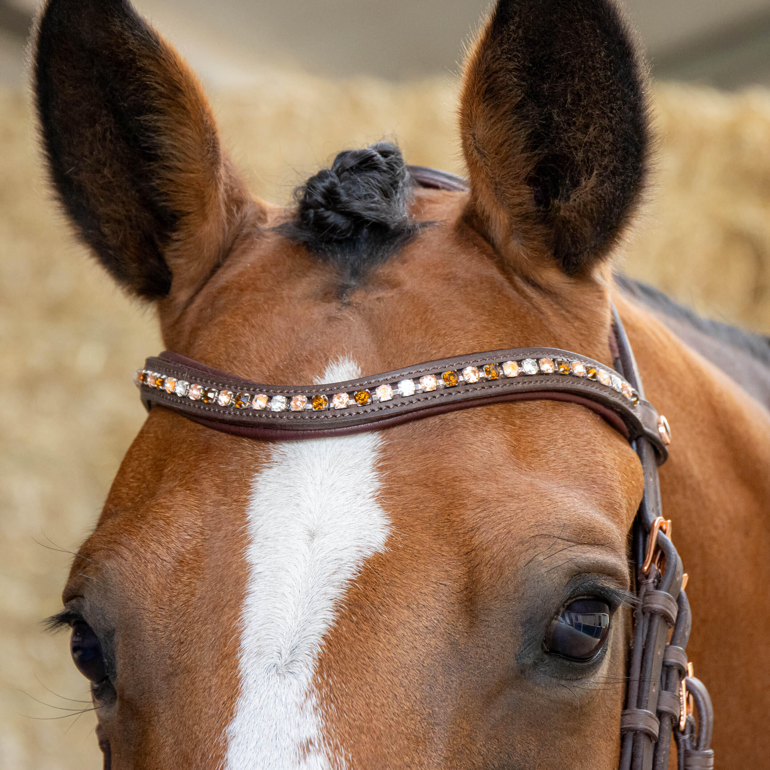 Trense Harry's Horse Soft Bombastic Crystals 5/5