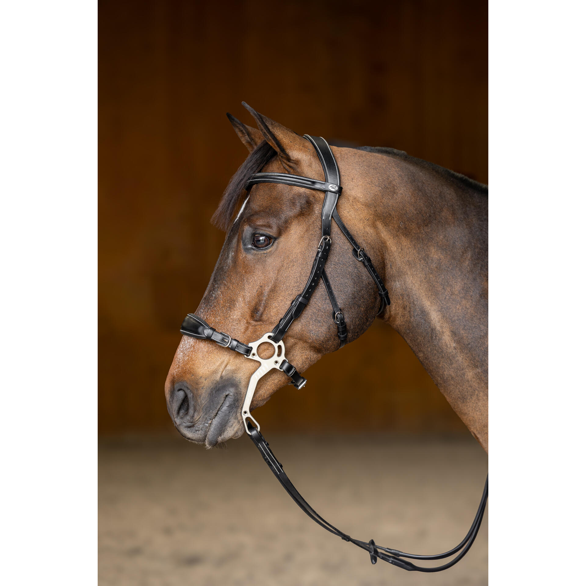 Trense HFI Hackamore 3/4