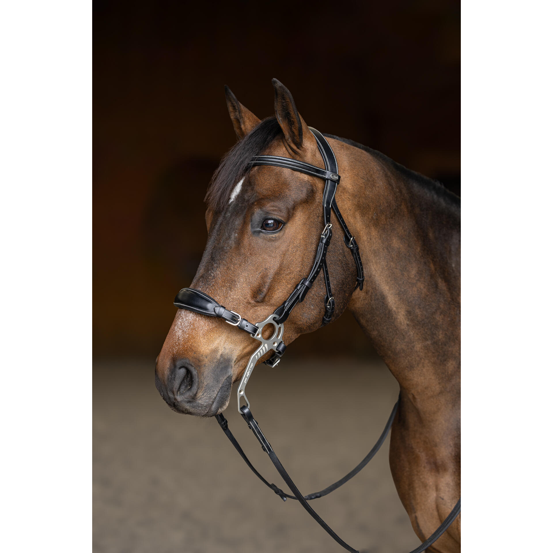 Trense HFI Hackamore 4/4