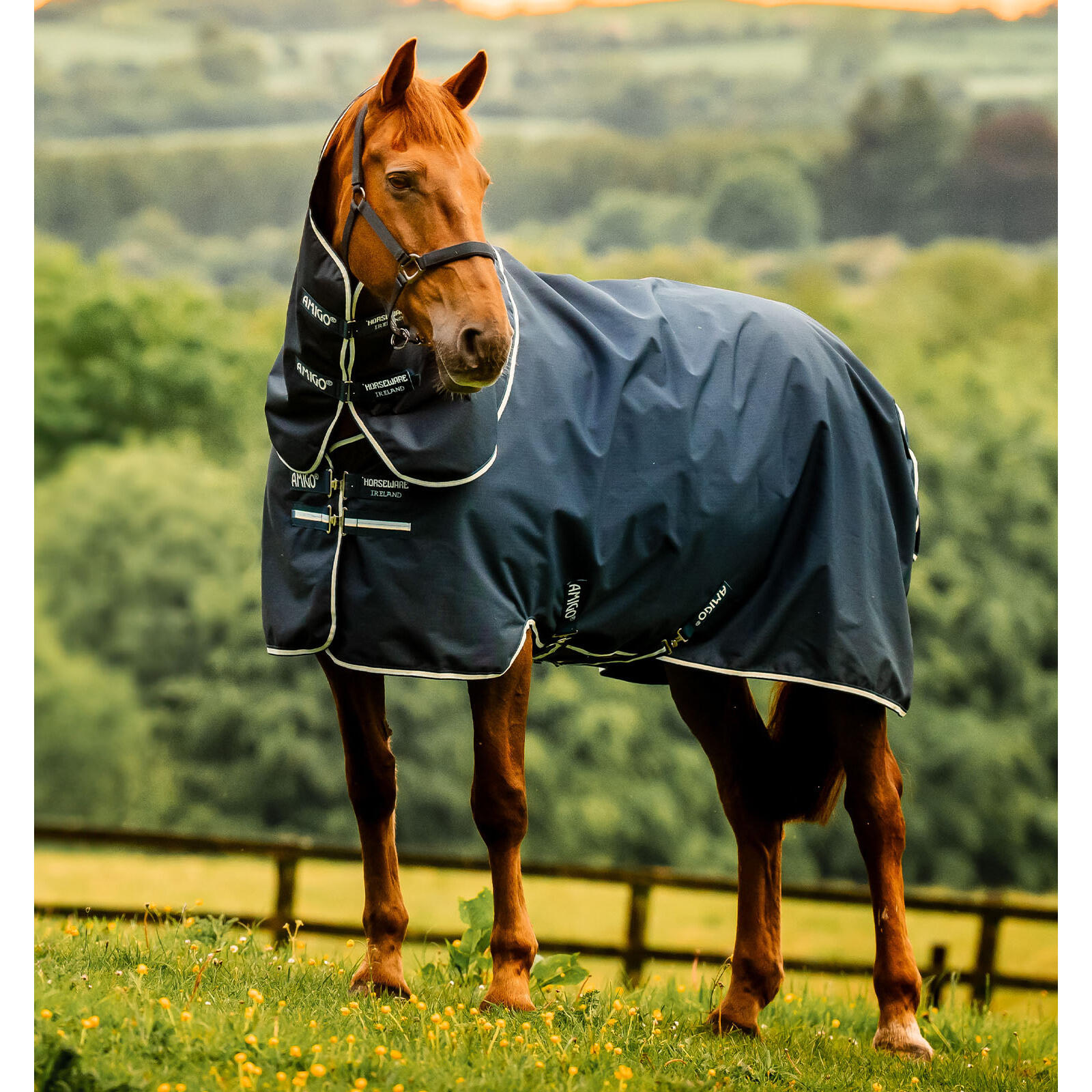 HORSEWARE IRELAND picture