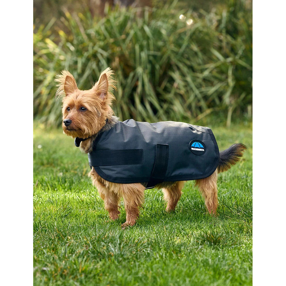 Weatherbeeta - Manteau Pour Chien Impérméable Weatherbeeta Comfitec Classic - Manteau Pour Chien - Gris|marron|vert - 50 Cm - Decathlon