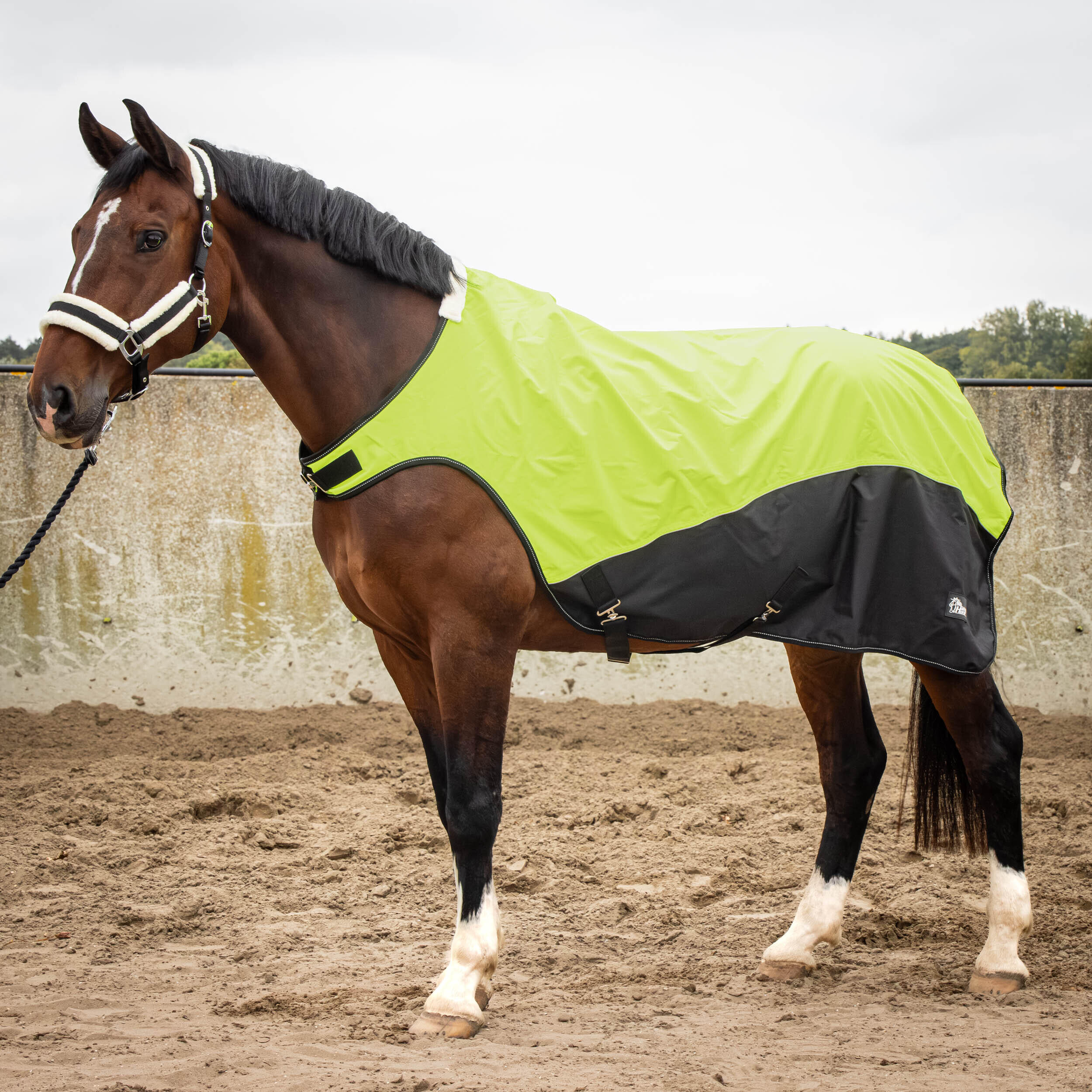 HARRYS HORSE Waterproof reflective horse exercise blanket Harry's Horse 0g