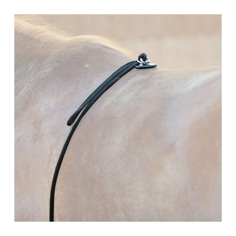 Enrênement pour longe cheval Kavalkade HO 2/3