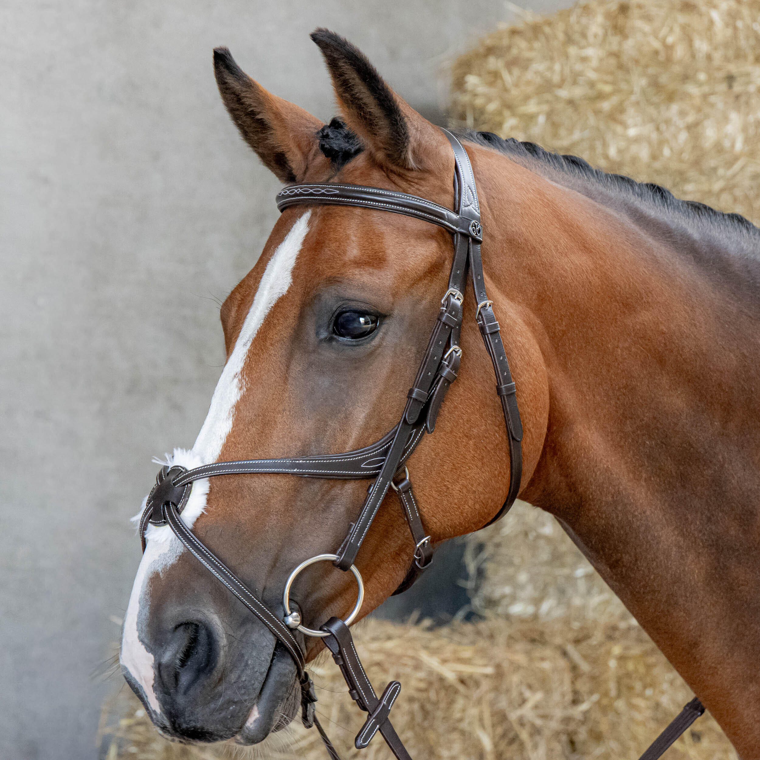 Harrys Horse - Bridon Équitation Muserolle Croisée Mexicaine Anatomique Harry's Horse - Bridon - Marron - Fs - Decathlon