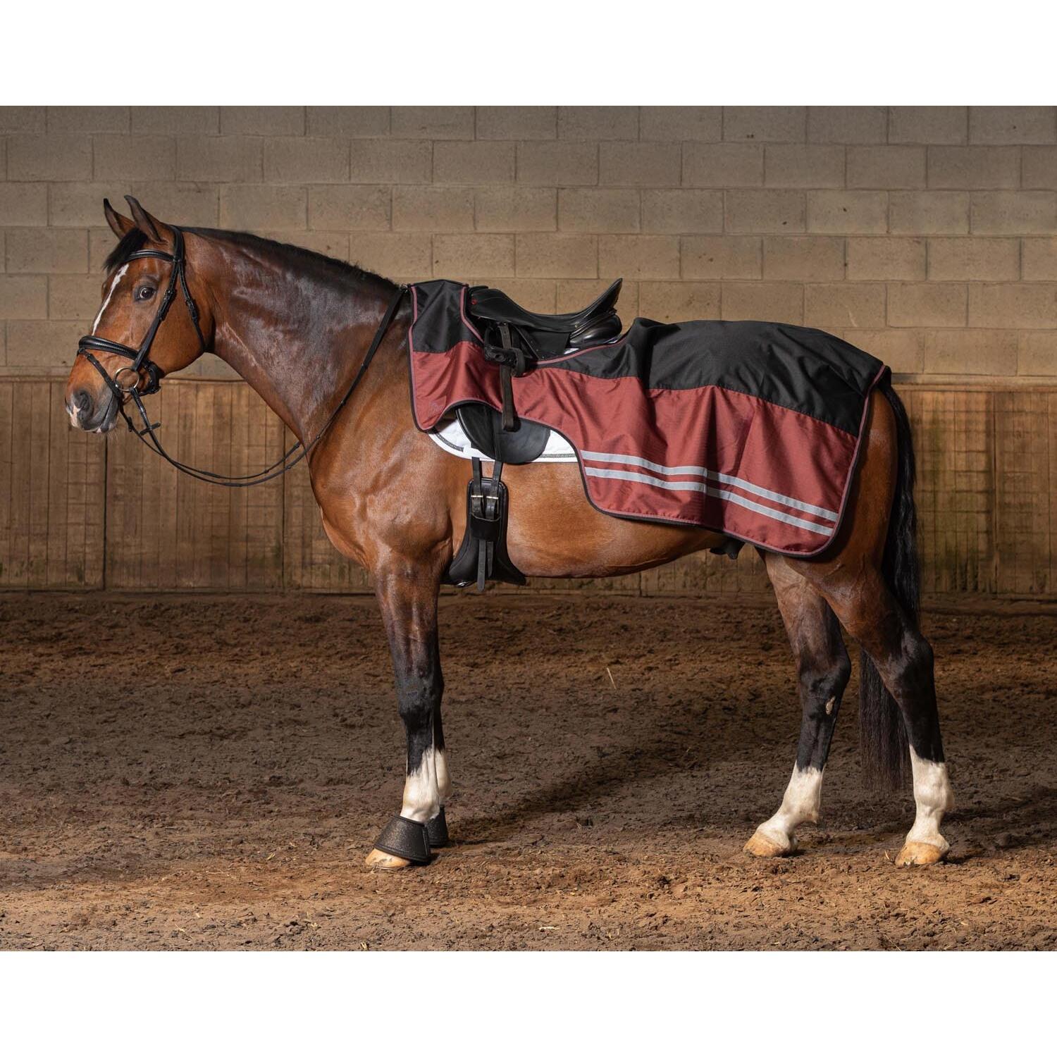 Couvre-reins pour cheval polaire Harry's Horse WI24 0g 2/2