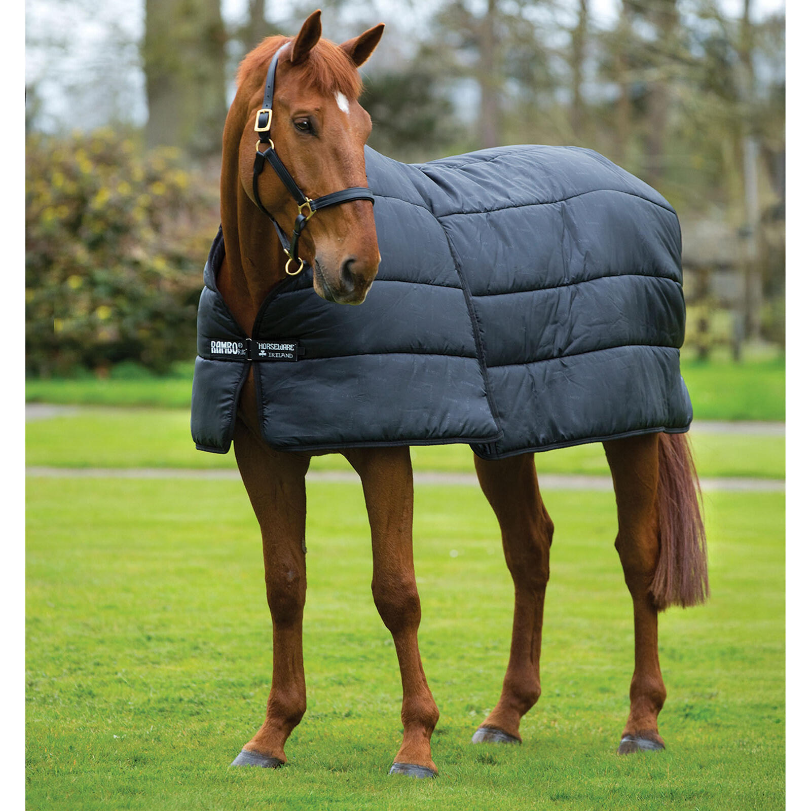 HORSEWARE IRELAND picture