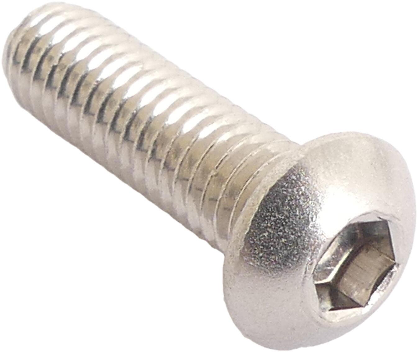 Bofix Remschijfbout m6 inbus met bolkop rvs (10 stuks) 2/2