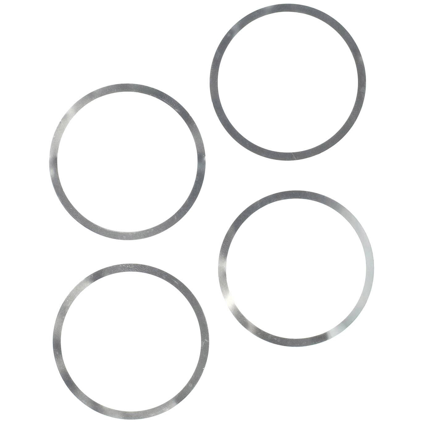 Elvedes vulringen centerlock 0,1mm rvs (4st) 4/4