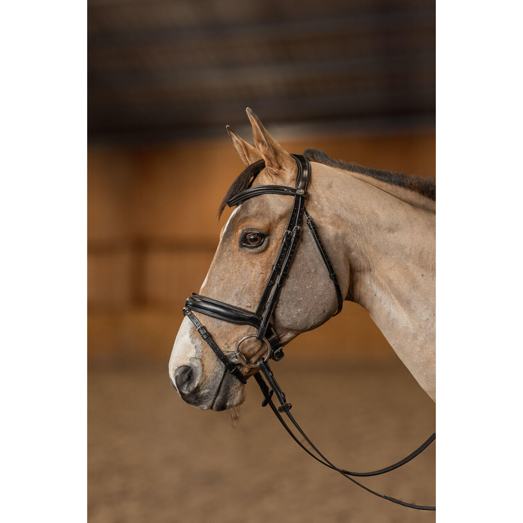 Brida de equitación anatómica pull-back HFI Pro Line Verona 4/4