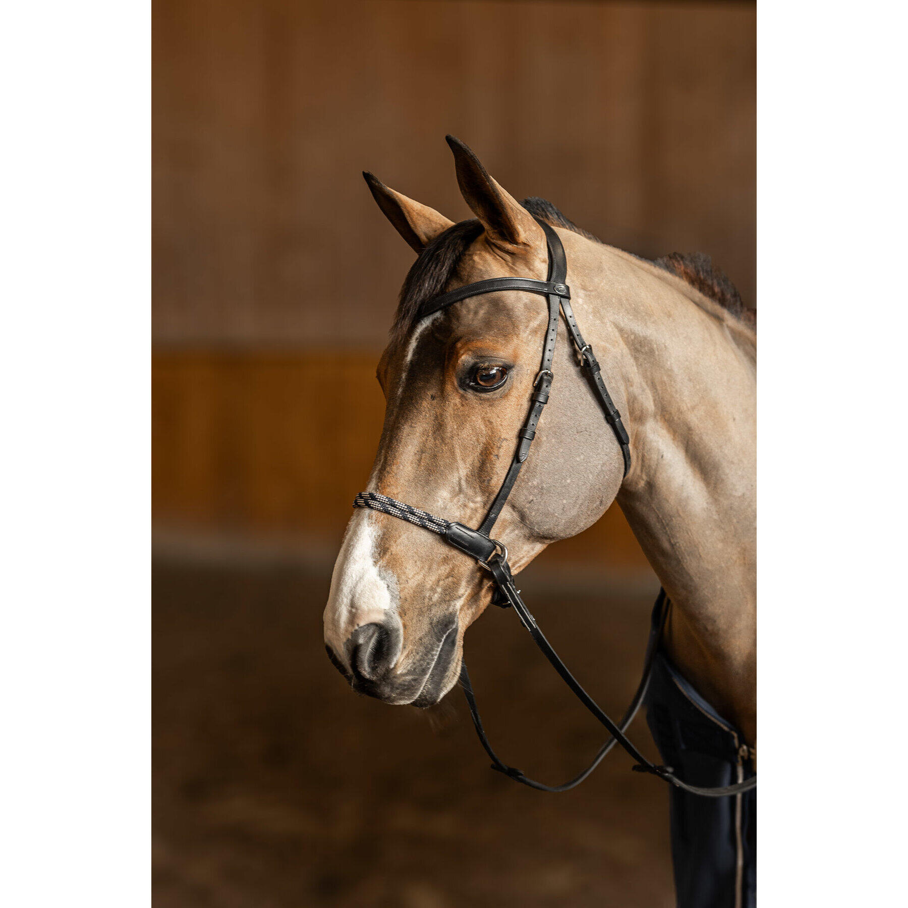 Anatomical riding bridle without bit HFI Freedom - Decathlon