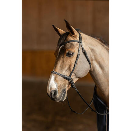 Anatomisches Gebissloses Reithalfter HFI Freedom