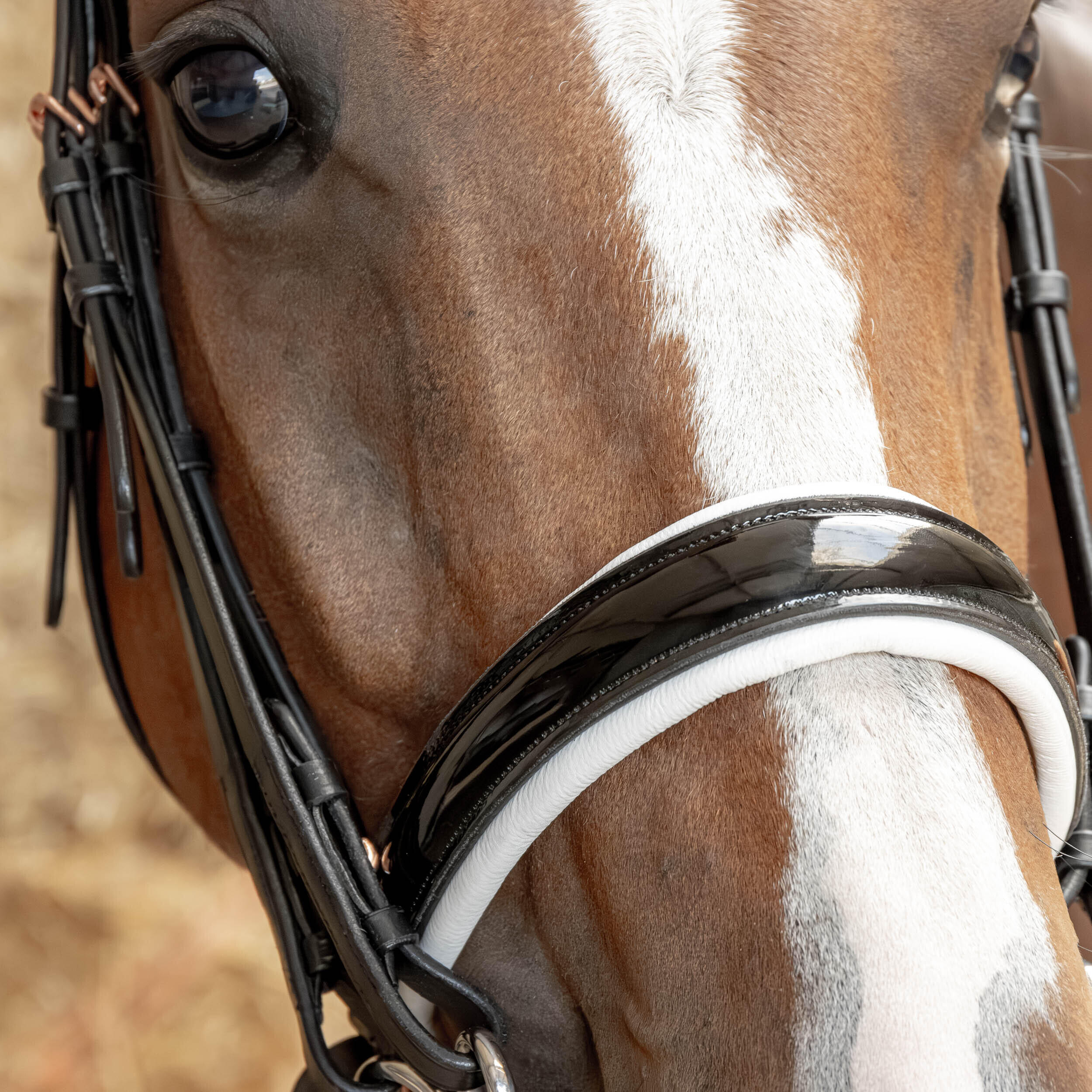 Trense Harry's Horse S&T Soft 3/4