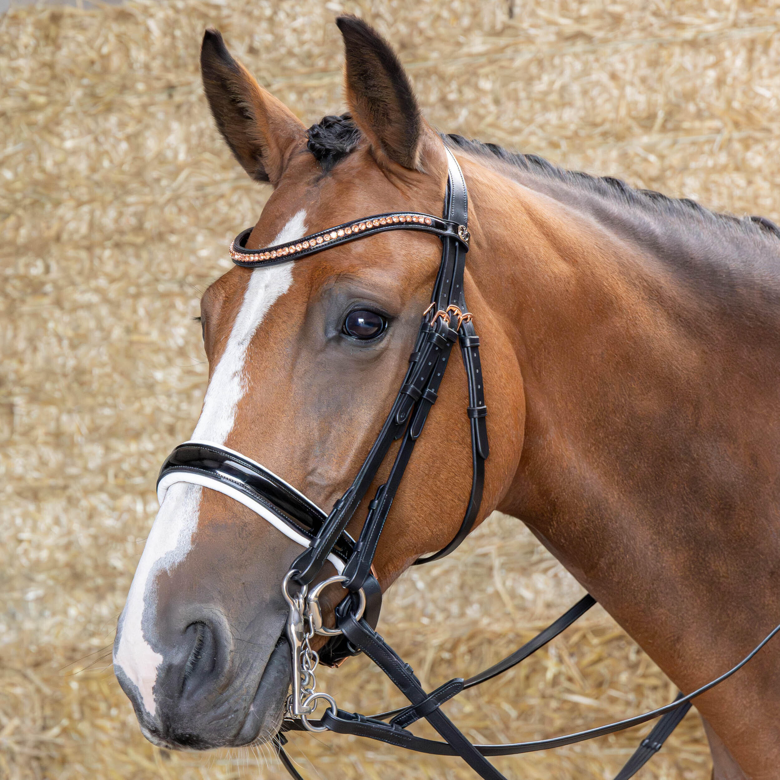 Trense Harry's Horse S&T Soft 2/4