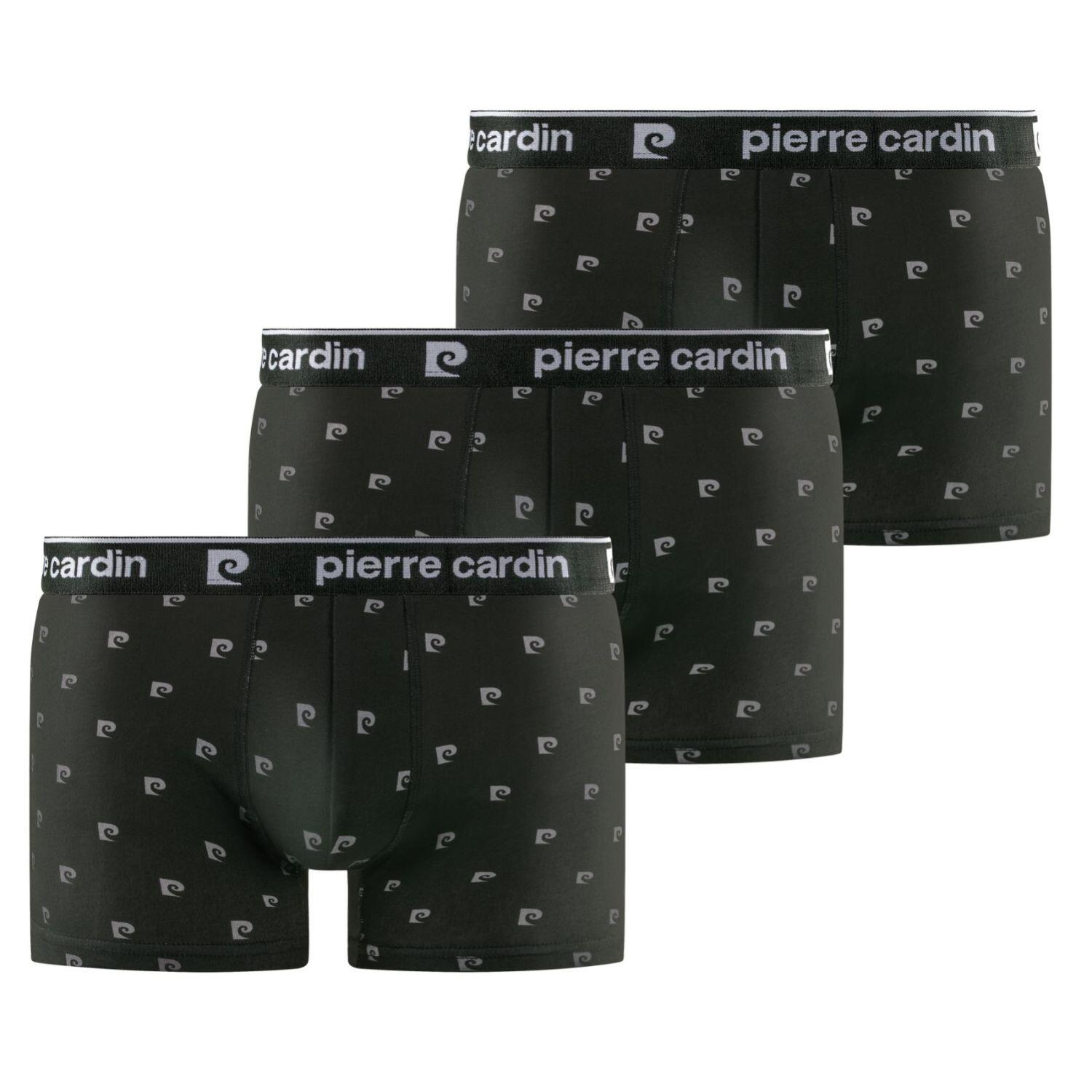 PIERRE CARDIN picture