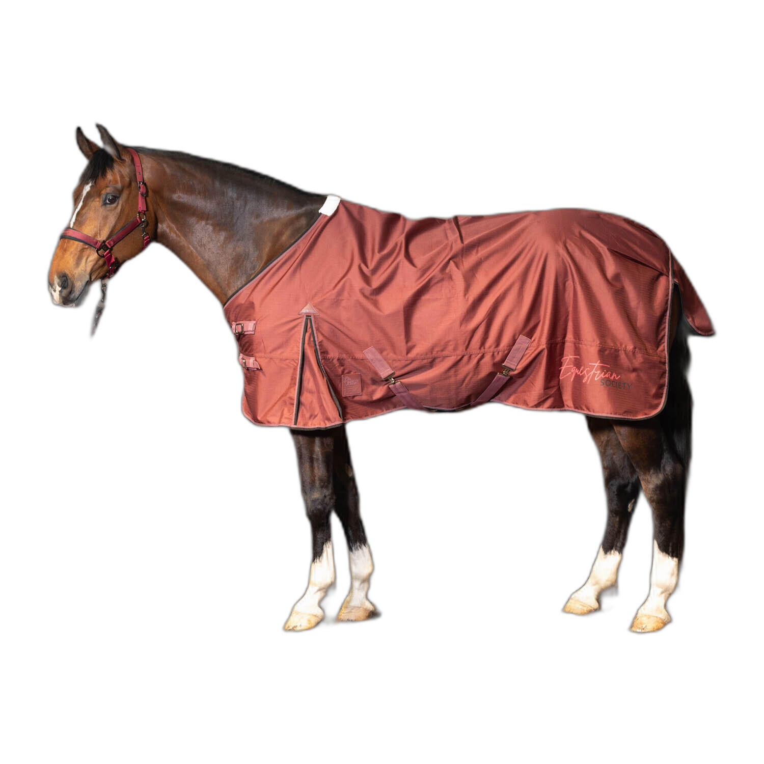 Coperta impermeabile per cavalli Harry's Horse Thor 0g 2/2
