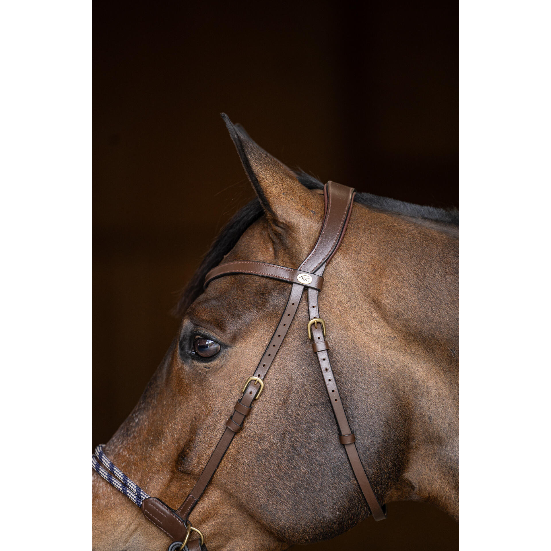 Bridon équitation anatomique sans mors HFI Freedom 5/6