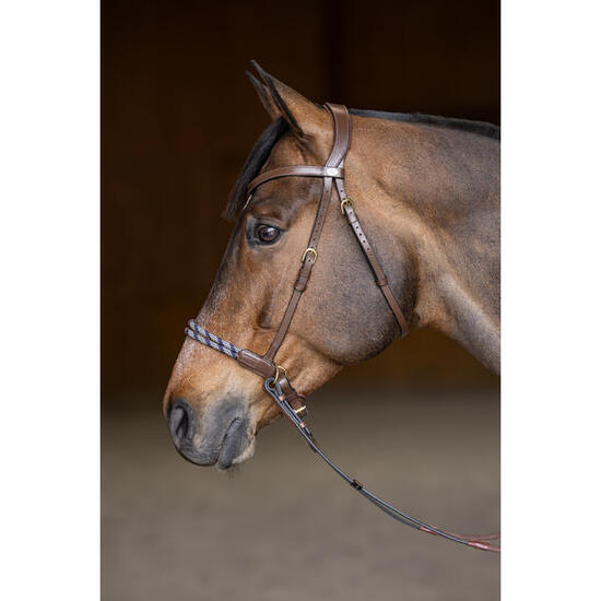 Anatomisches Gebissloses Reithalfter HFI Freedom