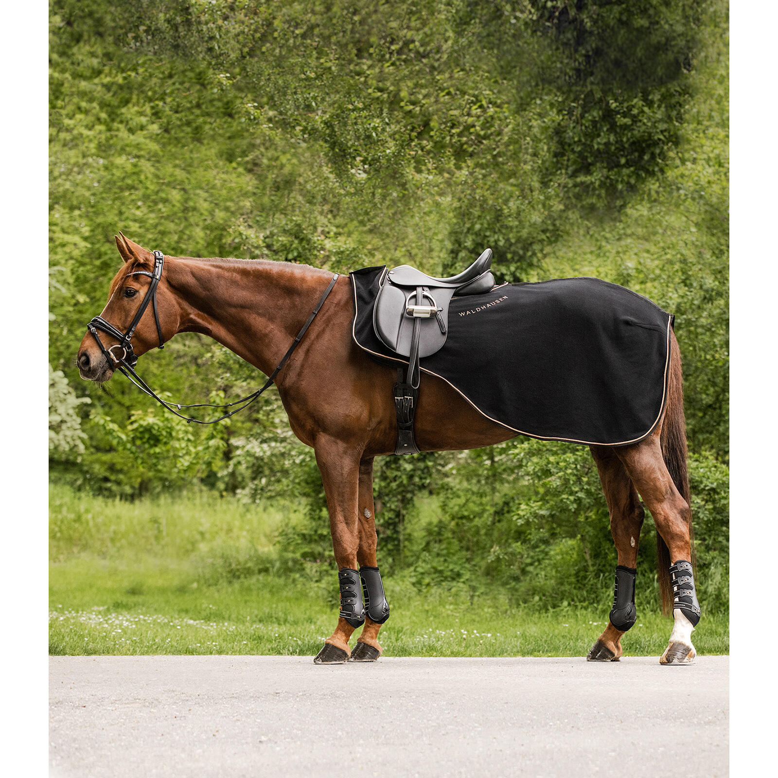 Couvre-reins pour cheval en polaire Waldhausen Modern Rosé