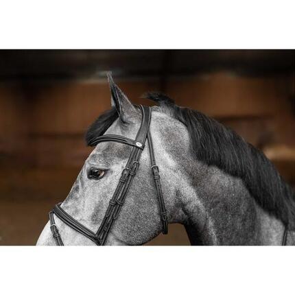Bridon équitation anatomique HFI Flex