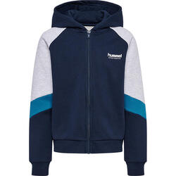 Sweatshirt à capuche zippé enfant Hummel Blocked Loose