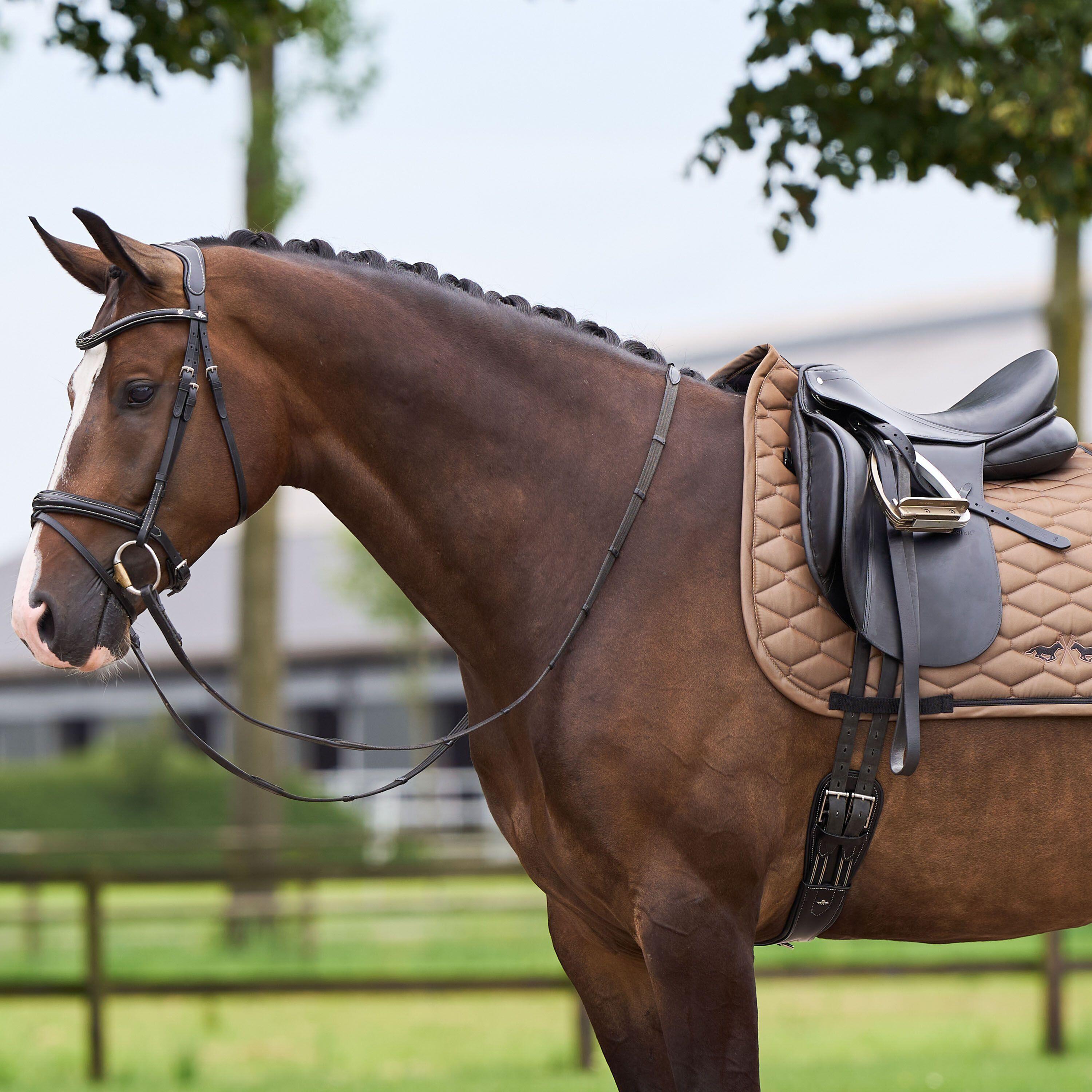 Sottosella dressage HV Polo Joan GP 3/3