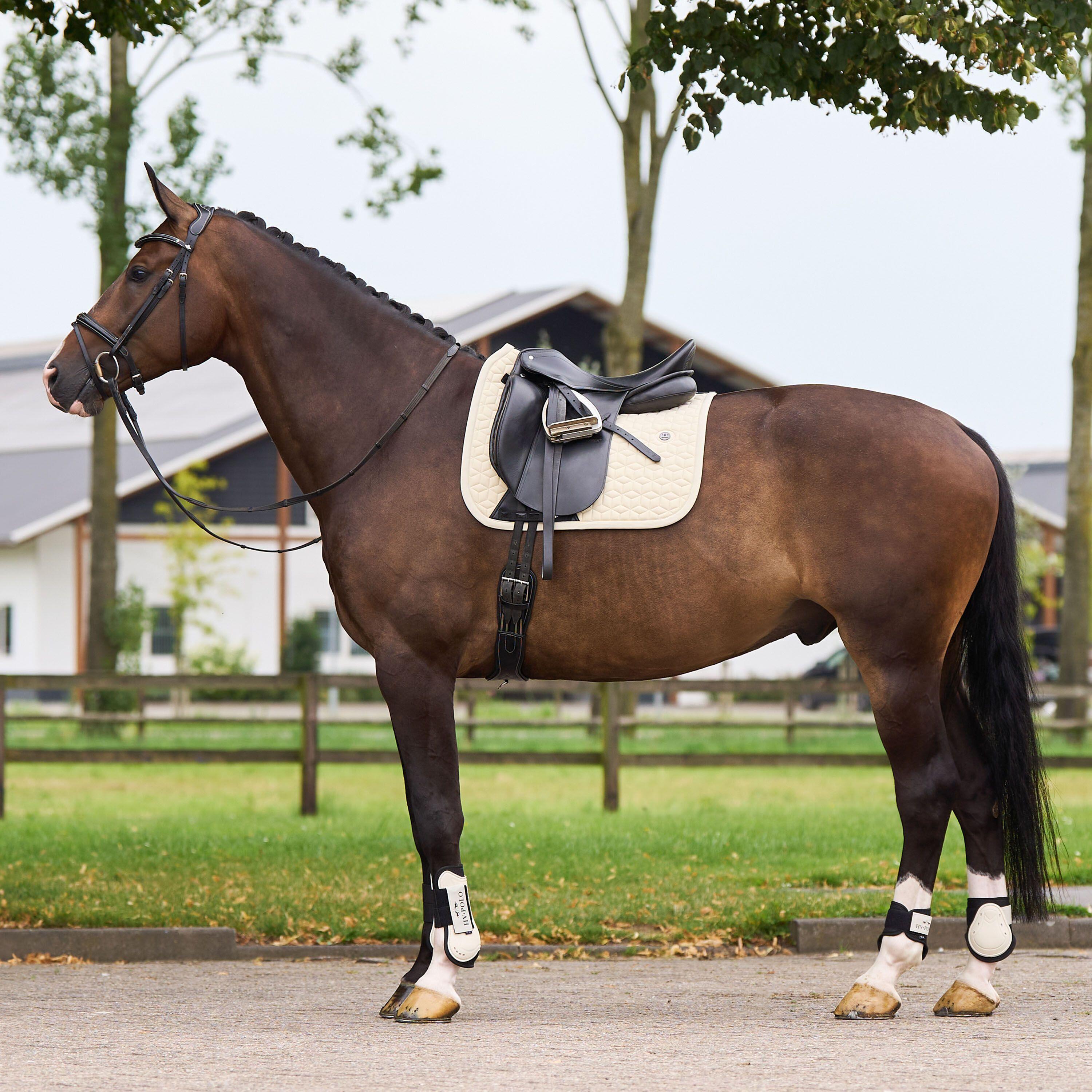 Sottosella dressage HV Polo Essential DR 2/3