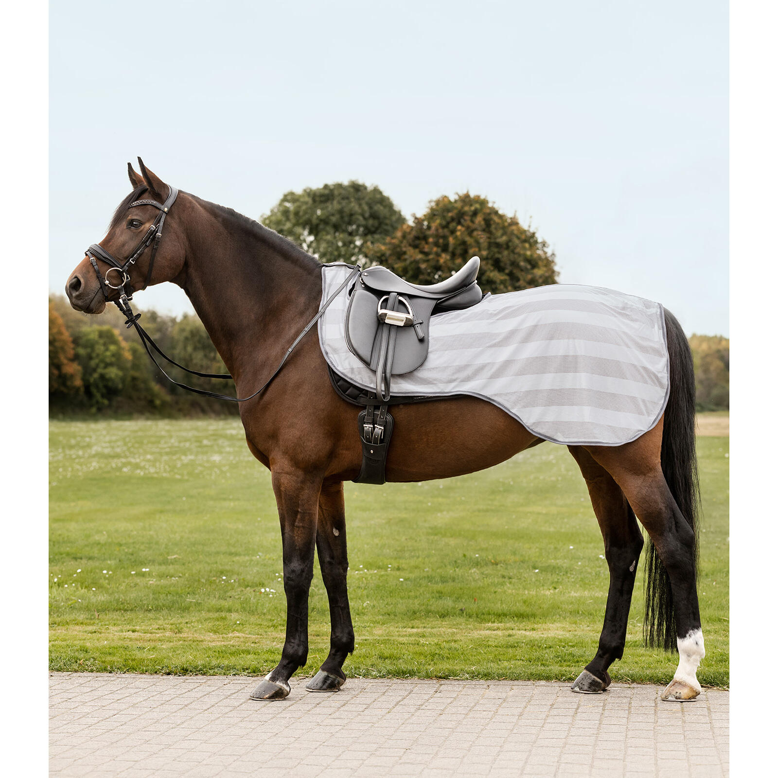 Waldhausen - Couvre-reins Pour Cheval Anti-mouches Waldhausen Economic - Couvre-reins - Gris - Fs - Decathlon