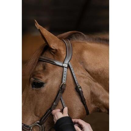 Bridon équitation anatomique HFI Hackamore