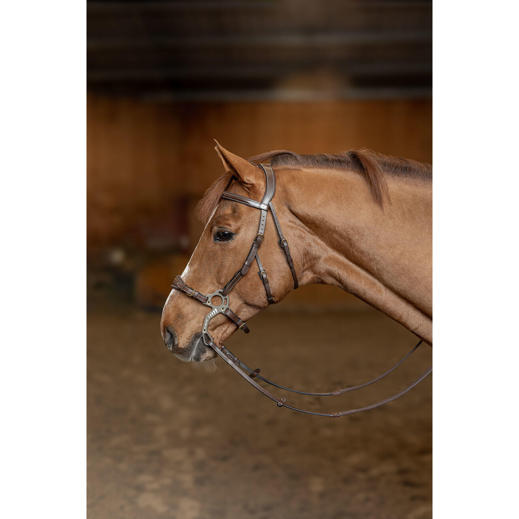 Trense HFI Hackamore 2/3