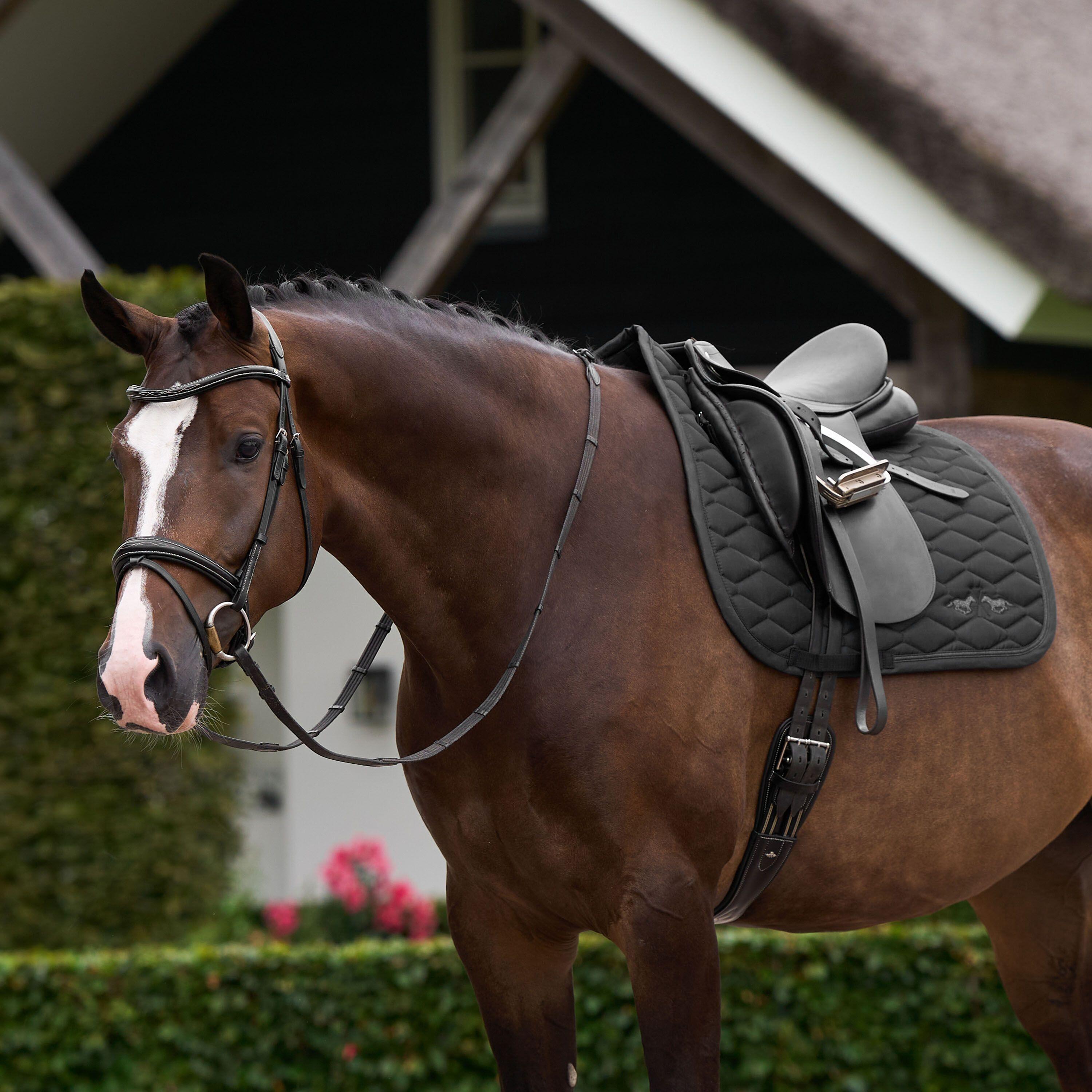 Estera de doma para caballos HV Polo Joan GP 3/3