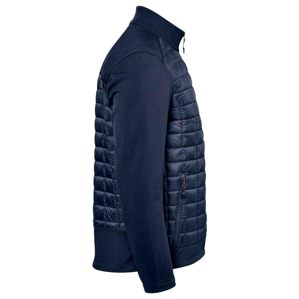 Veste Softshell APPALACHIAN Homme (Bleu Nuit) 4/4