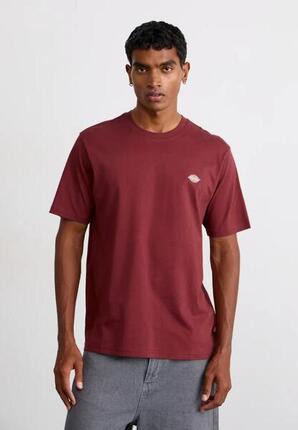 Camisetas Hombre Dickies Mapleton