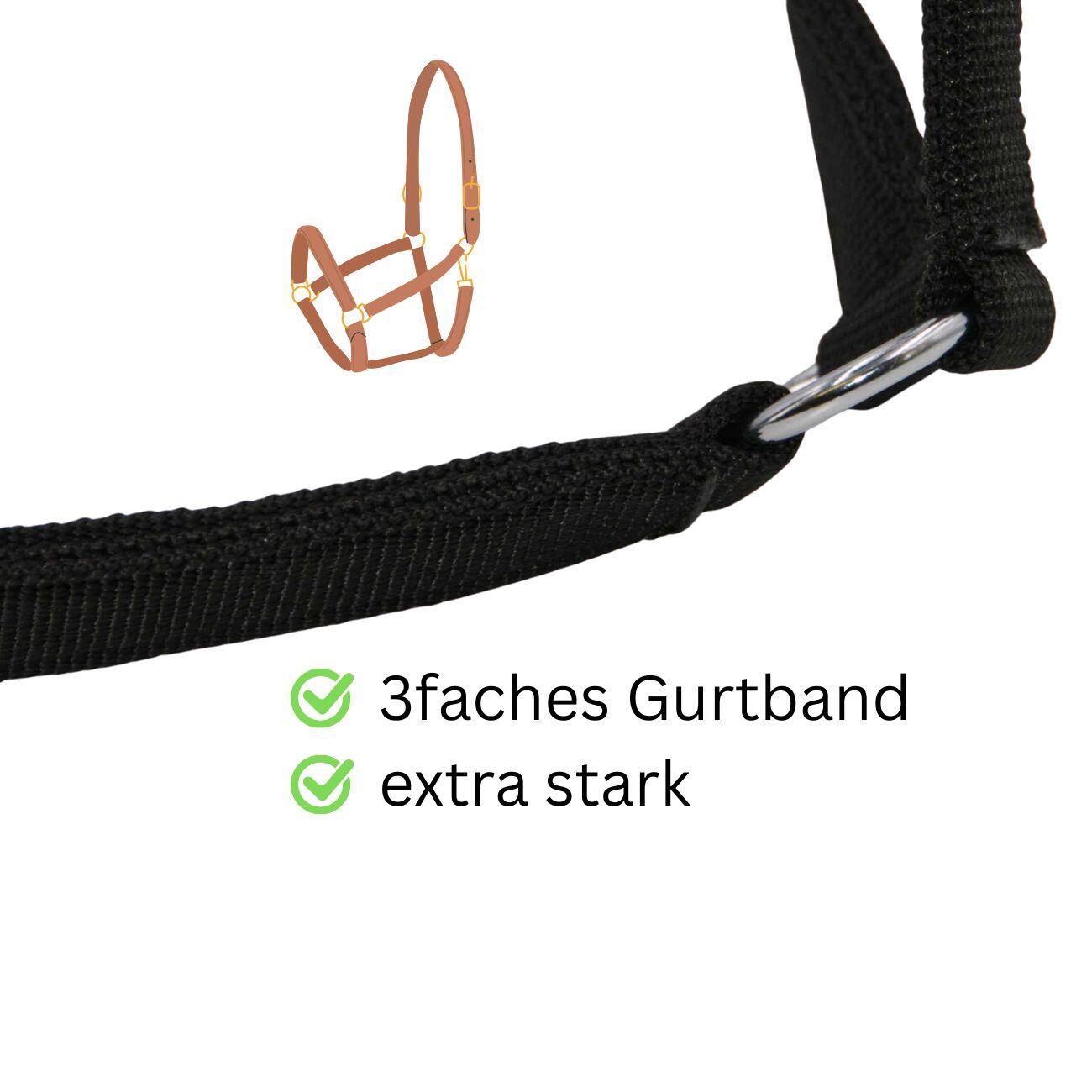 AMKA Stallhalfter extra stark 3facher PP Gurt schwarz 2/4